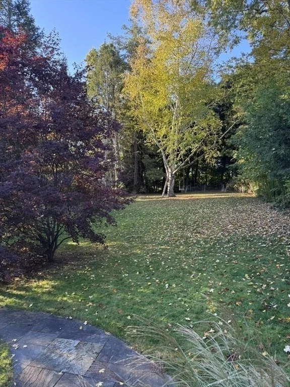 Photo of 35 Taylor Street