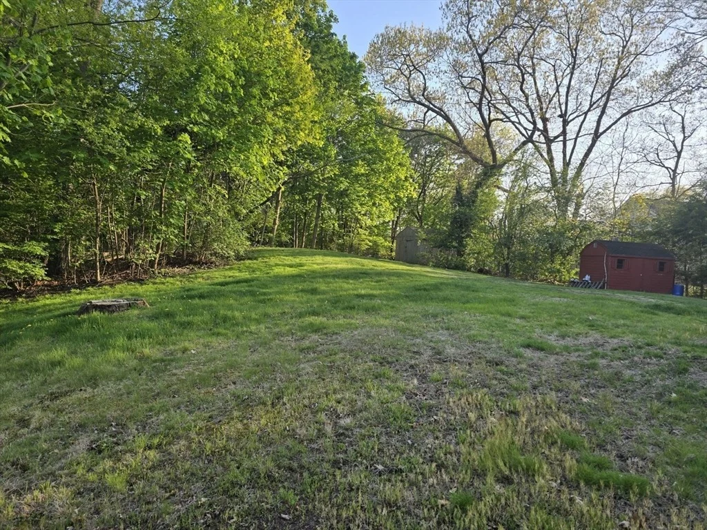 Photo of 217 Mill Street