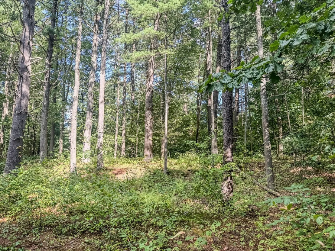 Photo of 68 Stony Hill Road