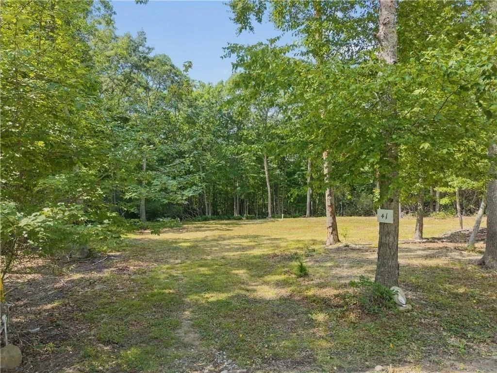 Photo of 41 Amy Hart Path