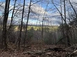 Photo of Lot 1 Brimfield Road