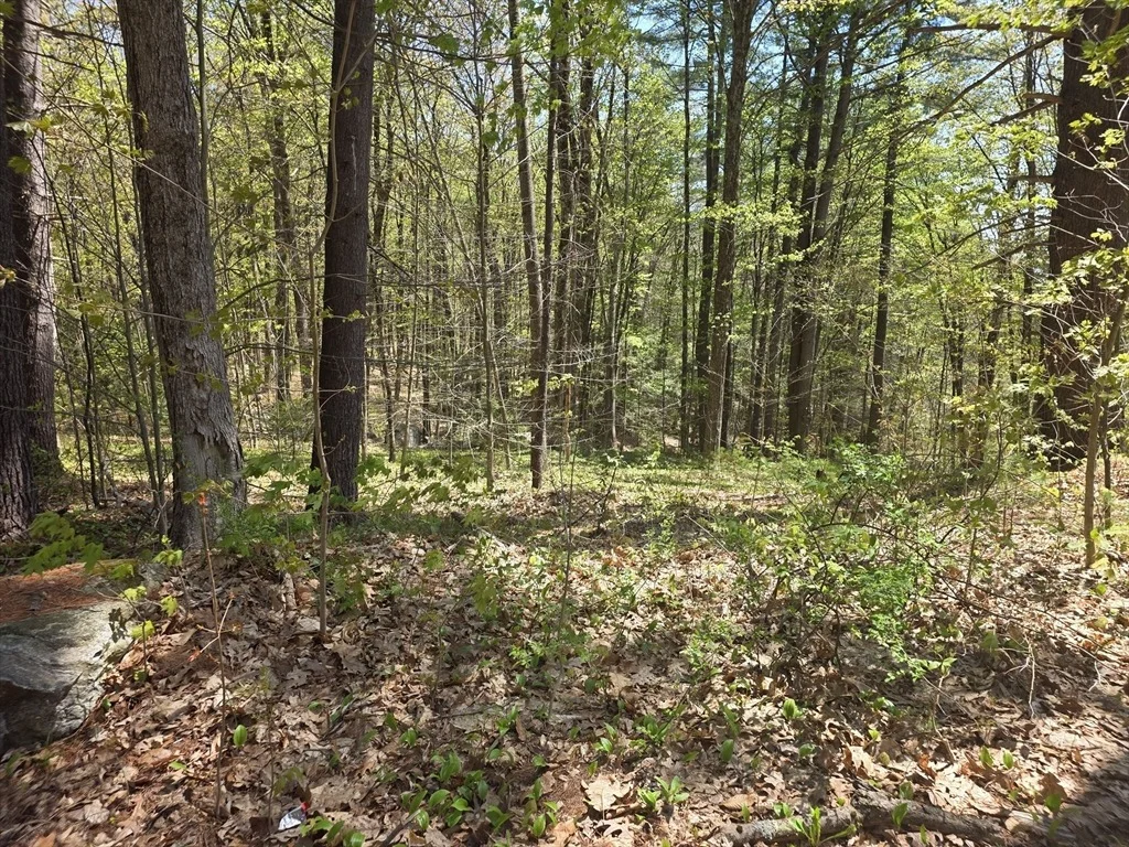 Photo of Lot 3 Beacon St