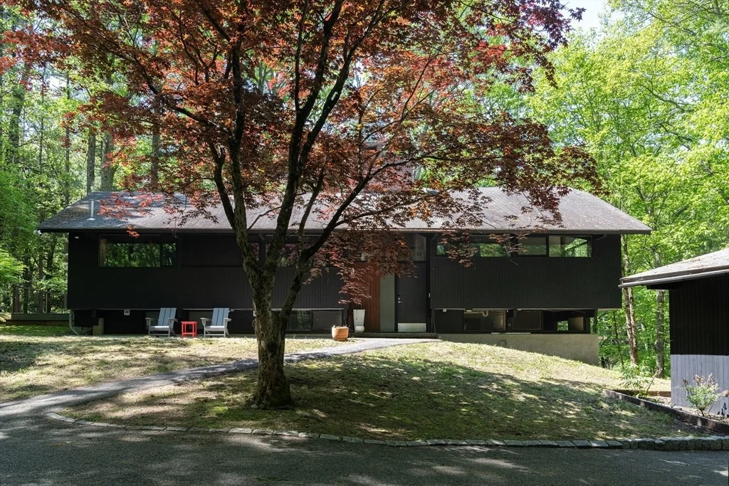 Photo of 11 Hiddenwood Path
