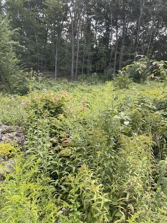 Photo of 208 Erickson Rd