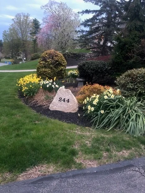 Photo of 244 Rolling Meadow Drive