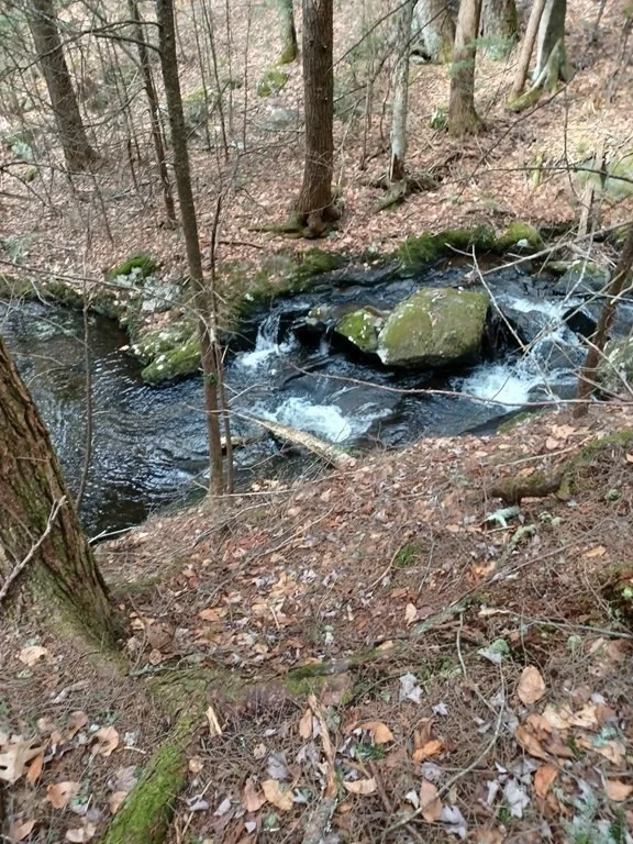 Photo of 296 Northwest Road