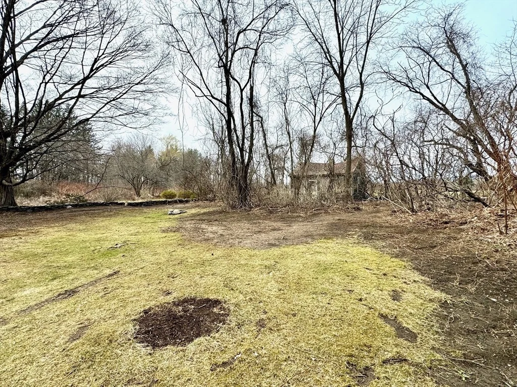 Photo of 91 Meadow St
