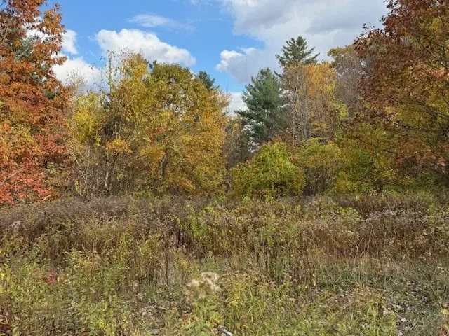 Photo of 151 Wilker Road