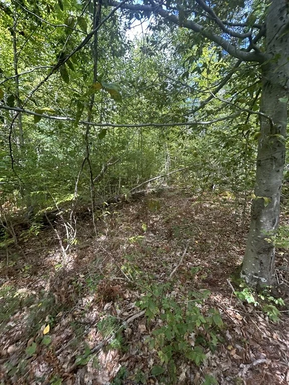 Photo of 531 Mason Rd