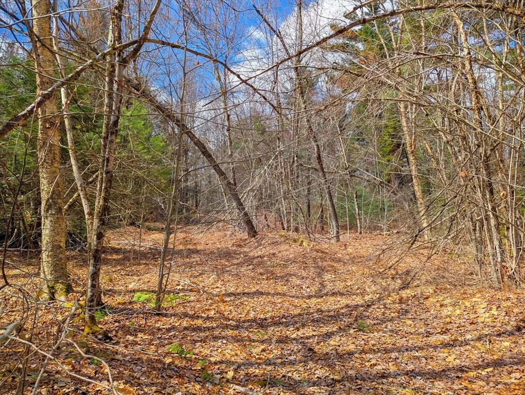 Photo of 0 Johnson Rd
