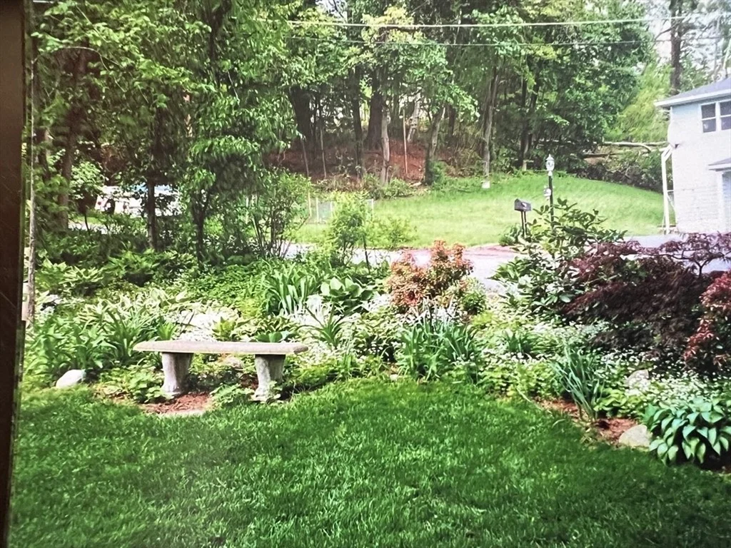 Photo of 21 Lovers Ln