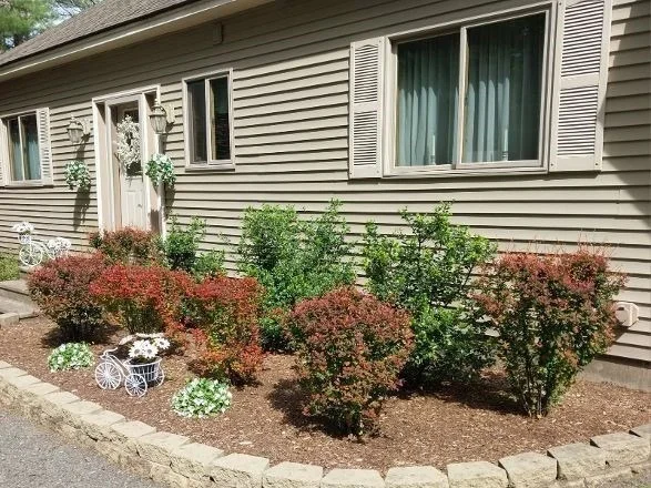 Photo of 188 Drew Blvd