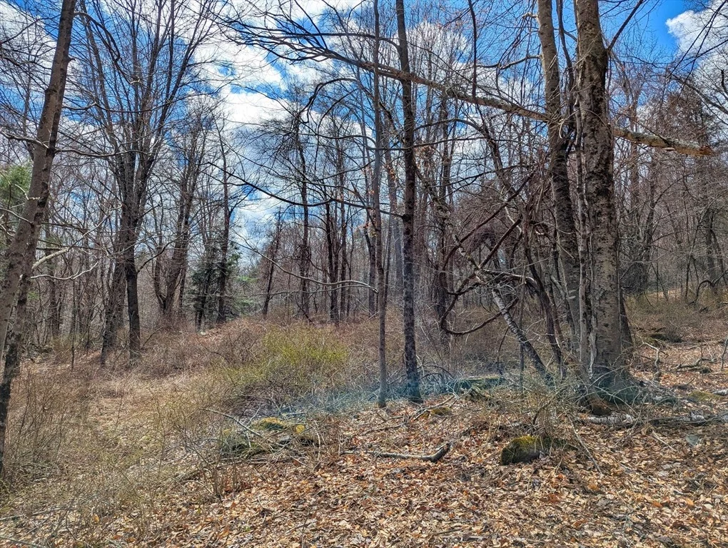 Photo of Lot 33.03 William Holmes Rd