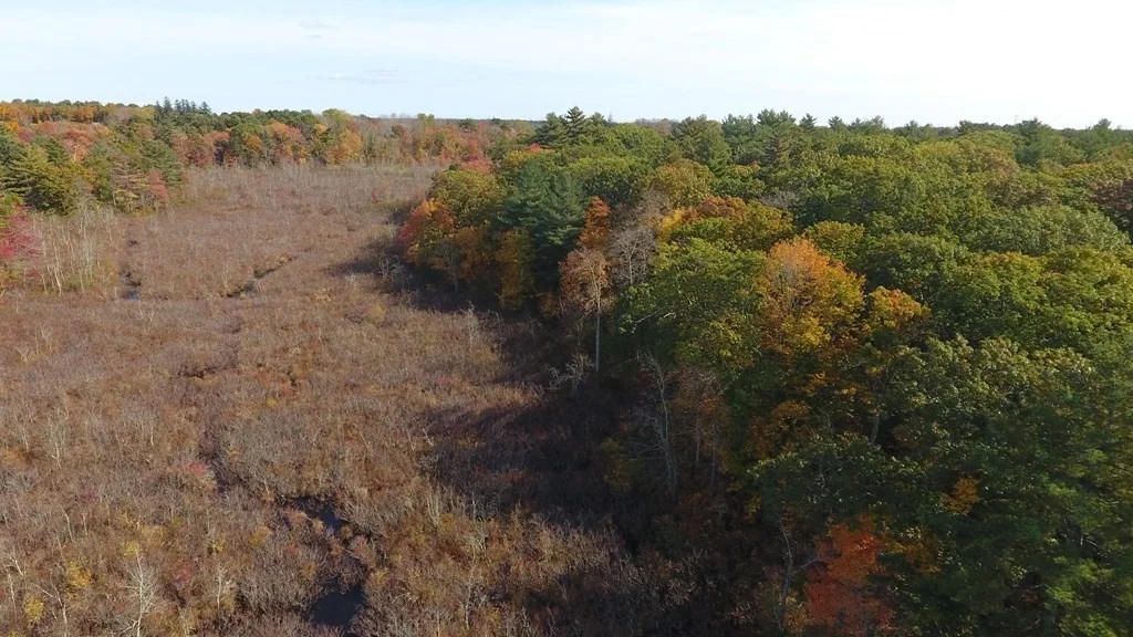 Photo of Lot 3 Silver Glen Road