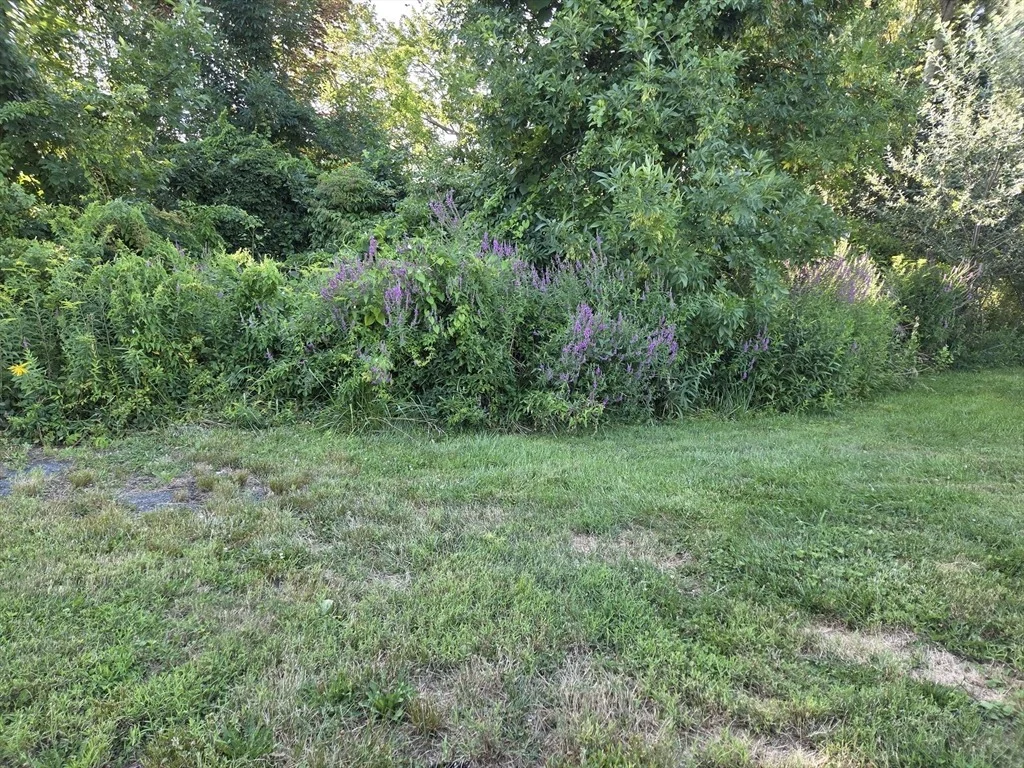 Photo of 0 River Rd E