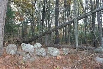 Photo of Lot 181 Ash Street