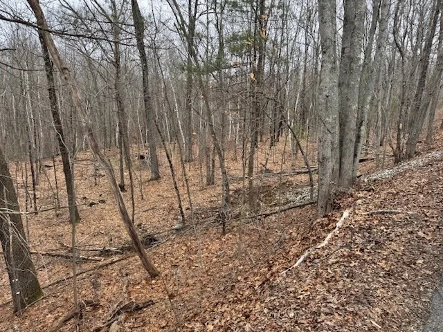 Photo of Lot 2 Gould Road
