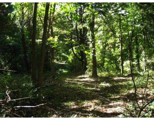 Photo of 81 Elm St. Lot 5