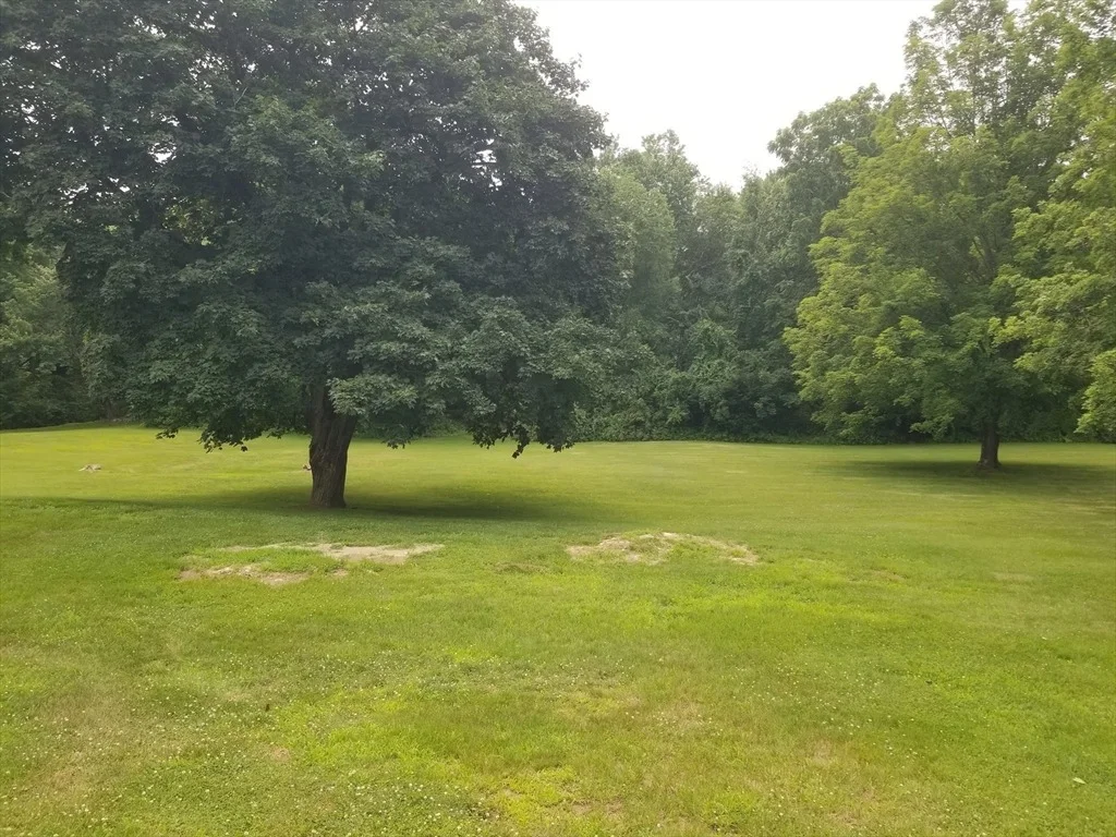 Photo of 320 Palmer Rd
