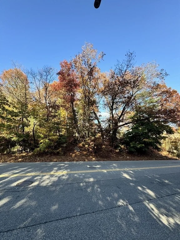 Photo of 483 Sunderland Rd