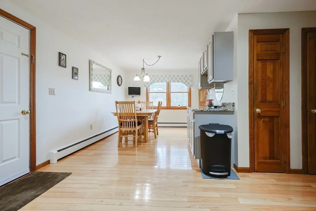 Photo of 29 Short St