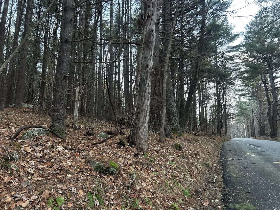 Photo of 32 South Rd