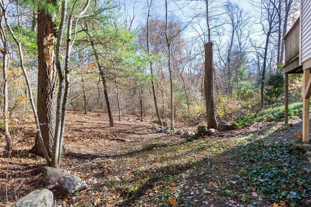 Photo of 955 Summer Street