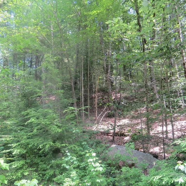 Photo of Lot 1 Pratt Corner Road