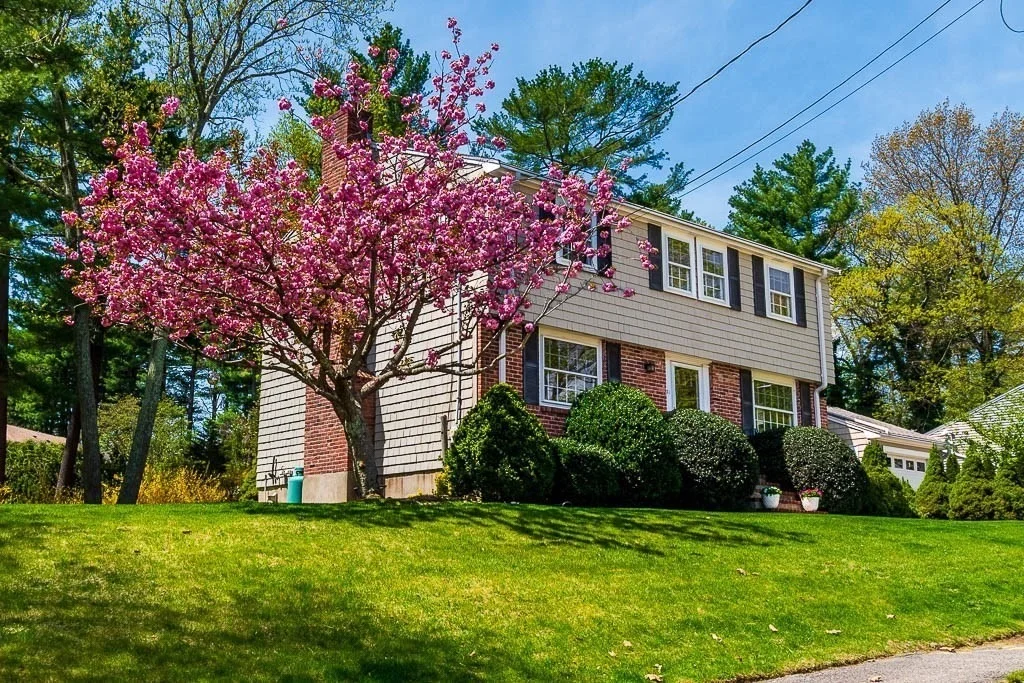 Photo of 31 Bonney Ln