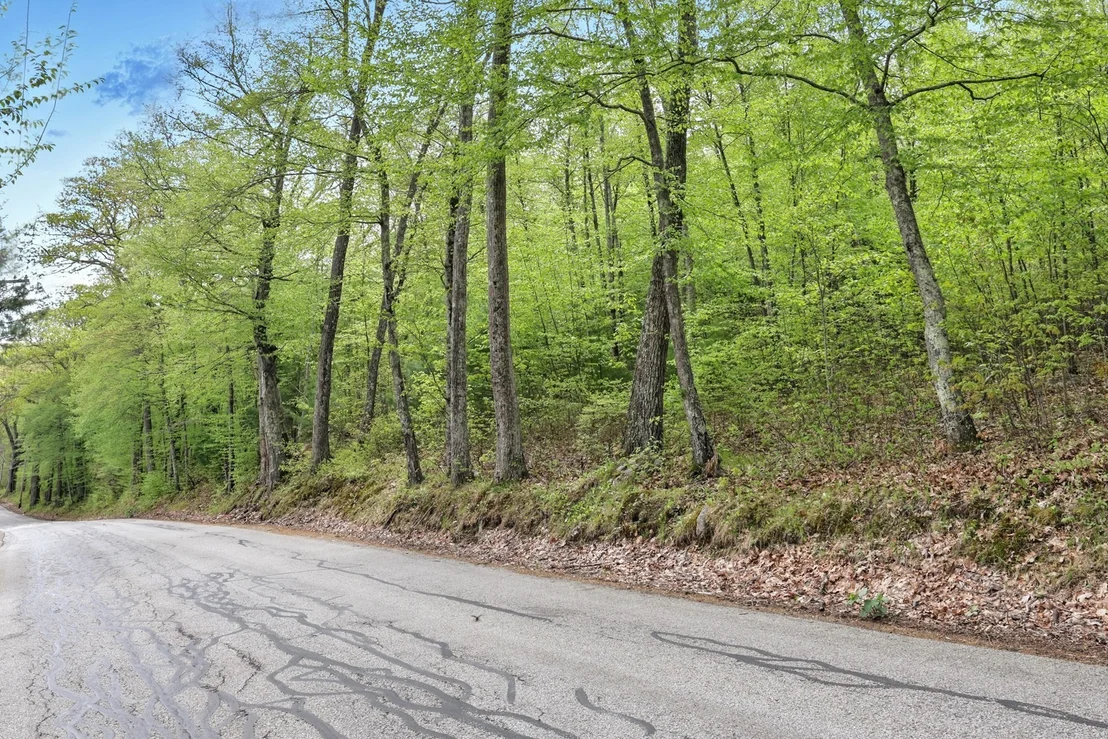 Photo of Lot 6 Reed Street