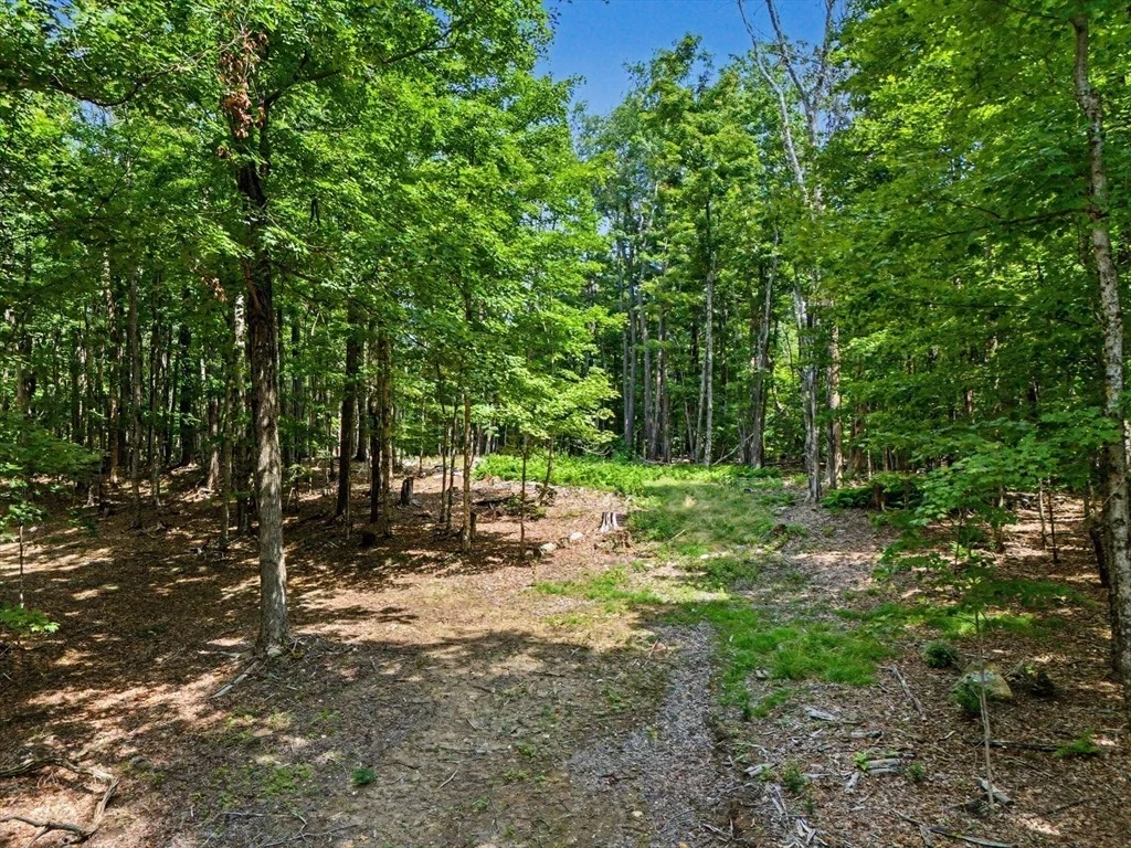 Photo of 951 West Rd