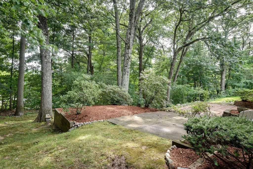Photo of 24 Upper Joclyn Ave