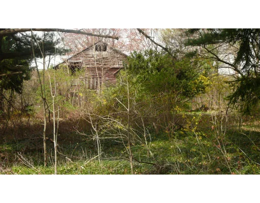 Photo of 33 Walcott St