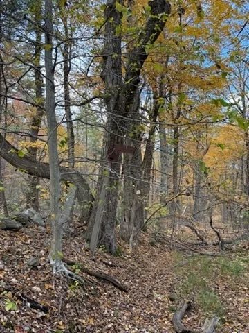 Photo of 151 Wilker Road