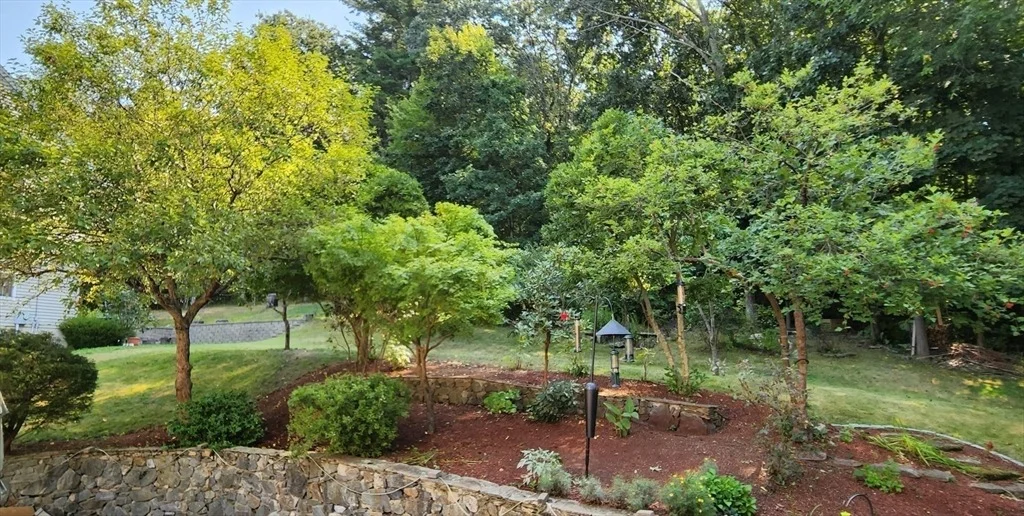 Photo of 7 Tree Top Way