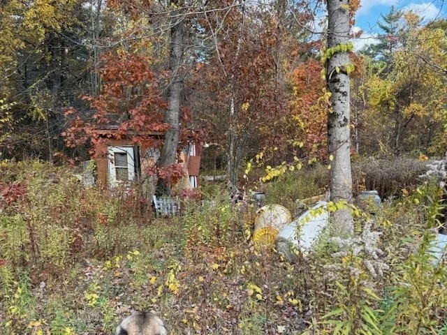Photo of 151 Wilker Road