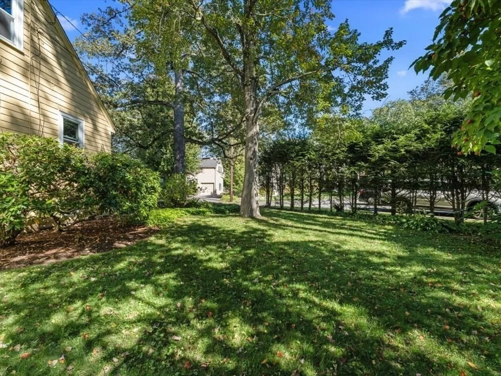 Photo of 66 Upland