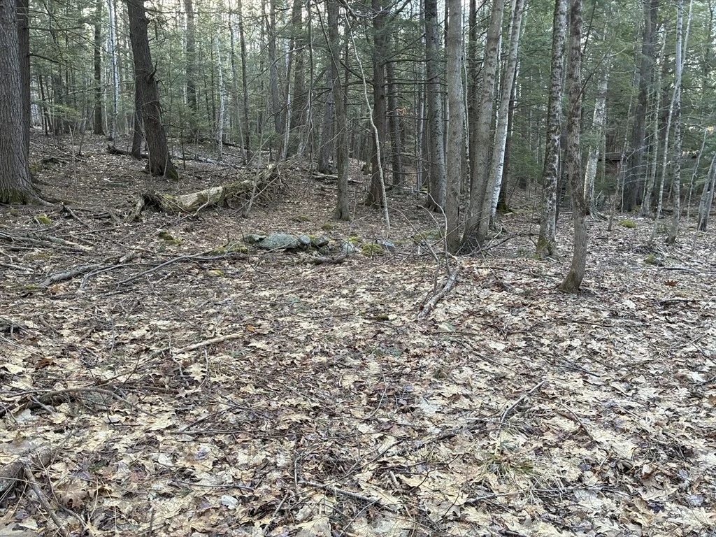 Photo of 2 Leshure Rd