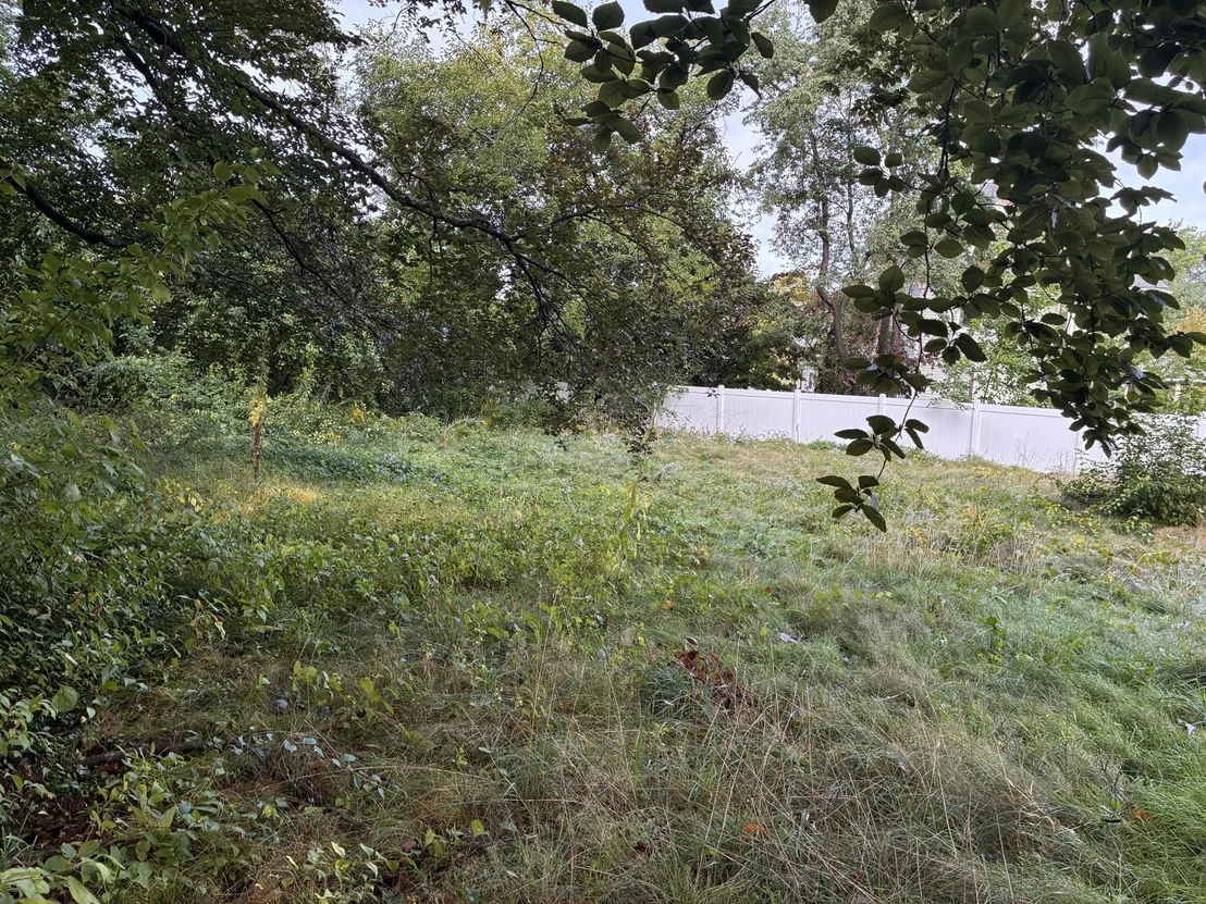 Photo of 0 Buckingham Street