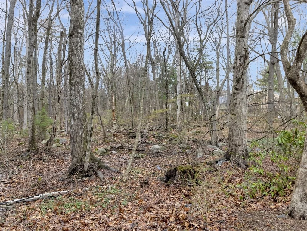 Photo of 19 Jacob Drive