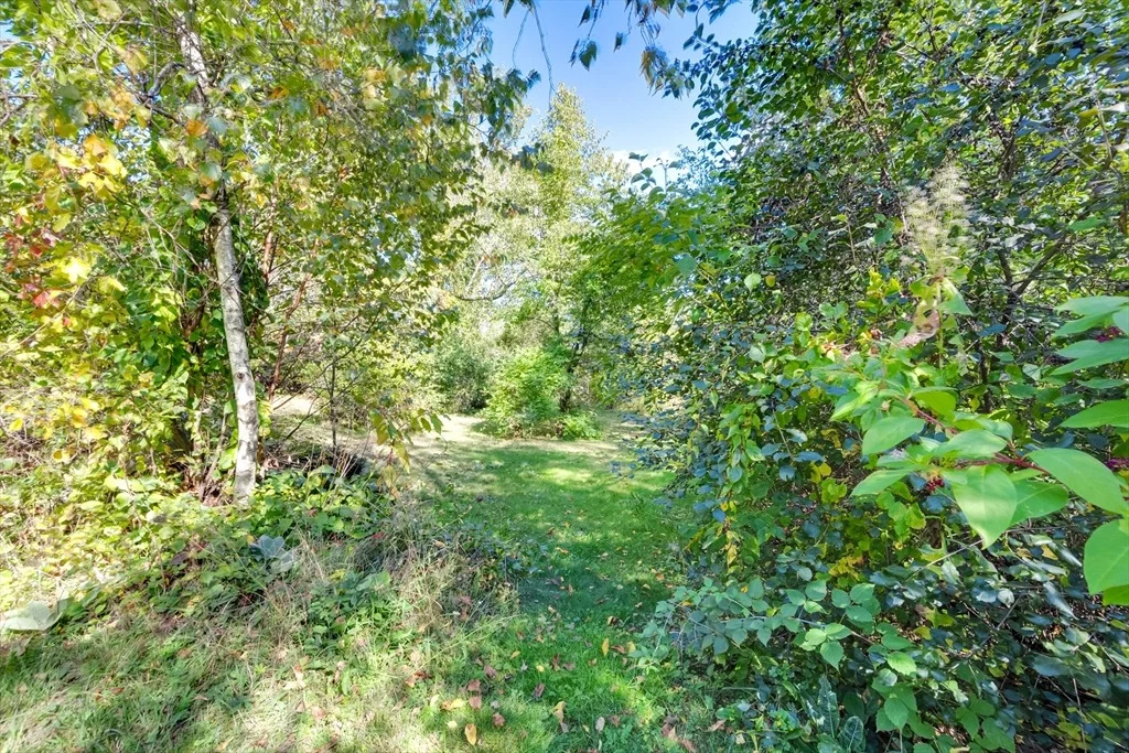 Photo of 40 Czesky Rd