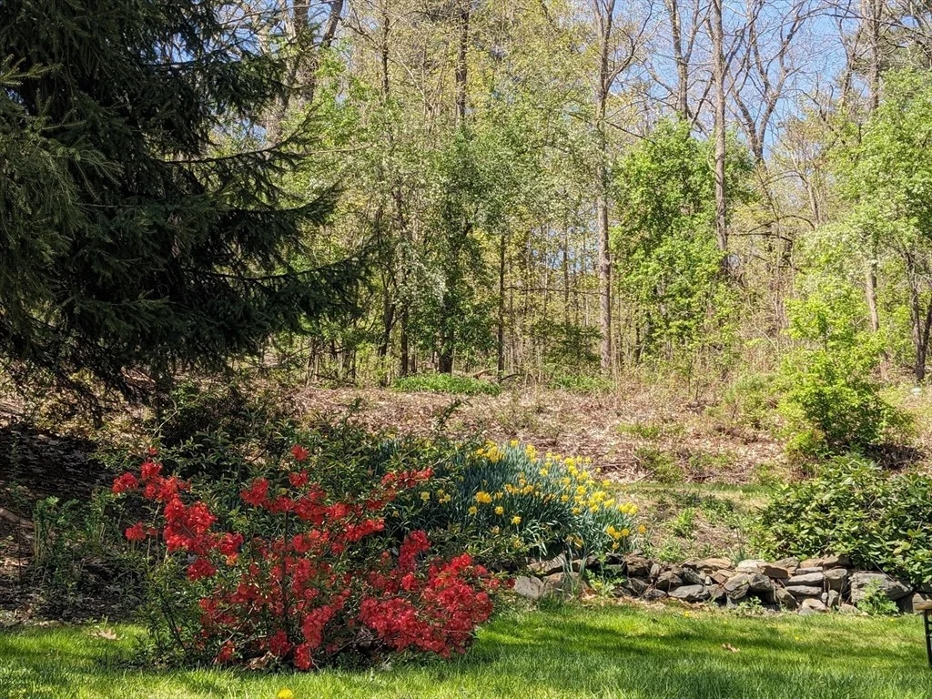Photo of 609 Langen Road