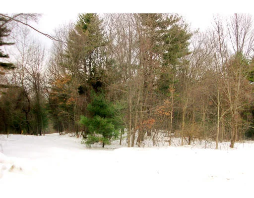 Photo of lot 3 Idlewile Lane