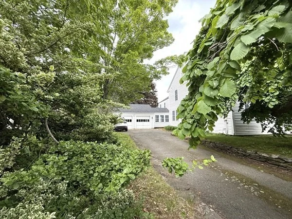Photo of 82 Petersham Rd