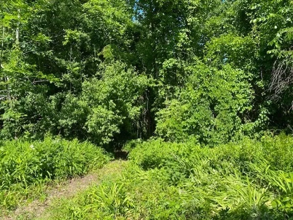 Photo of 280 & 290 Spring Road