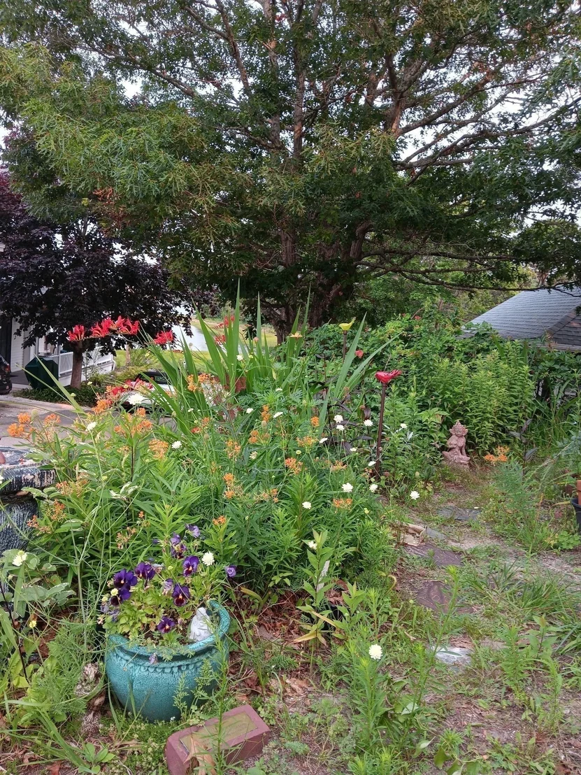 Photo of 15 3rd St