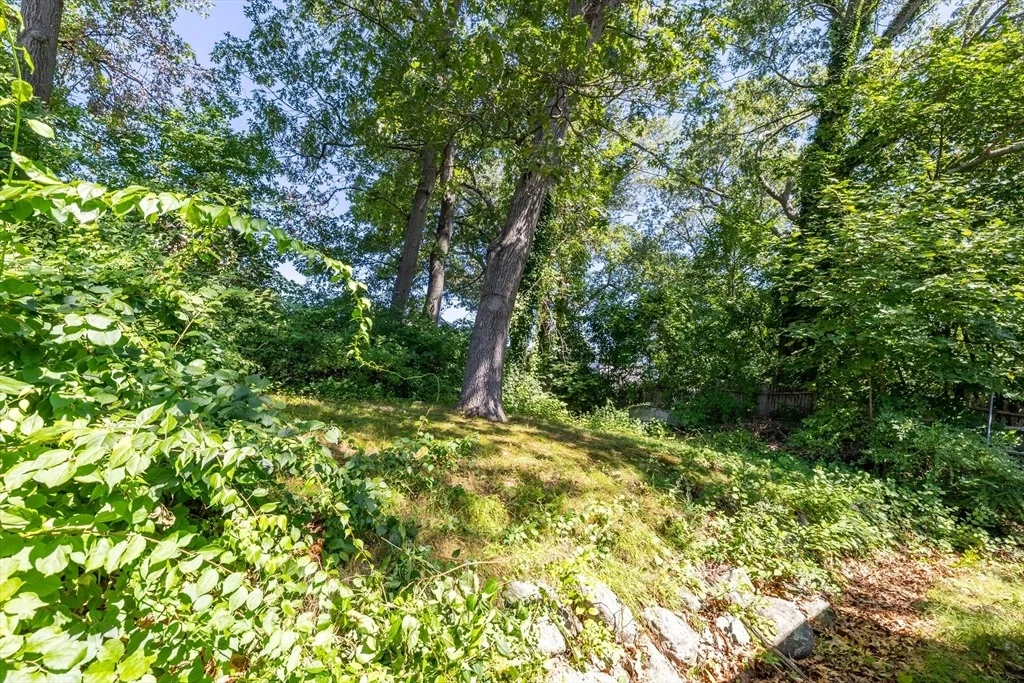 Photo of 30 Macdonald St
