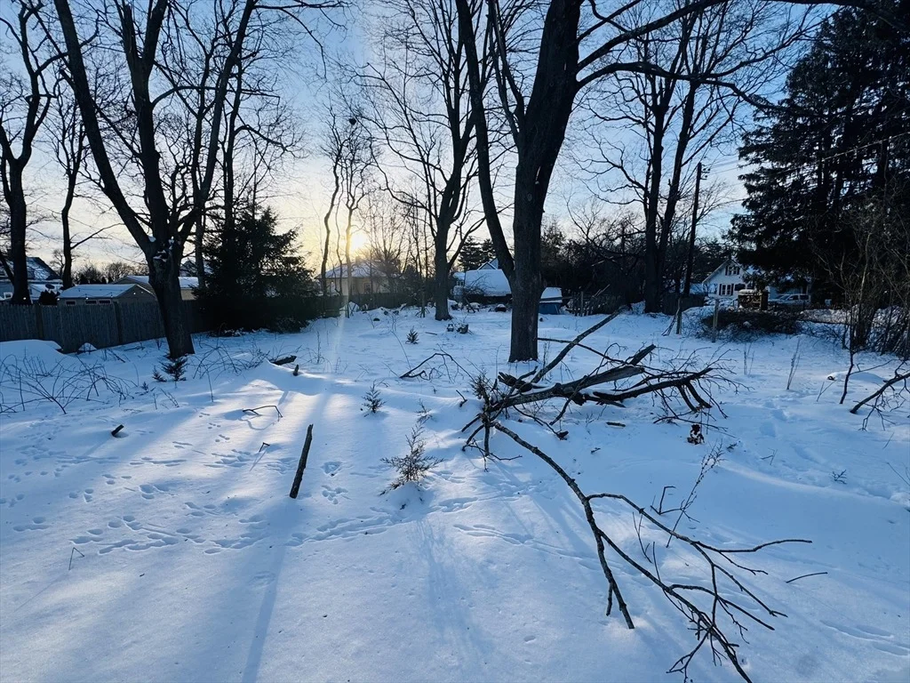 Photo of 80 Forest St