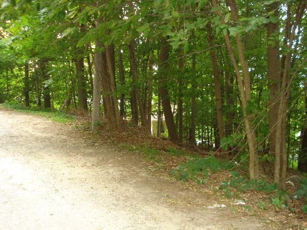 Photo of Lot 24B Riverview Street