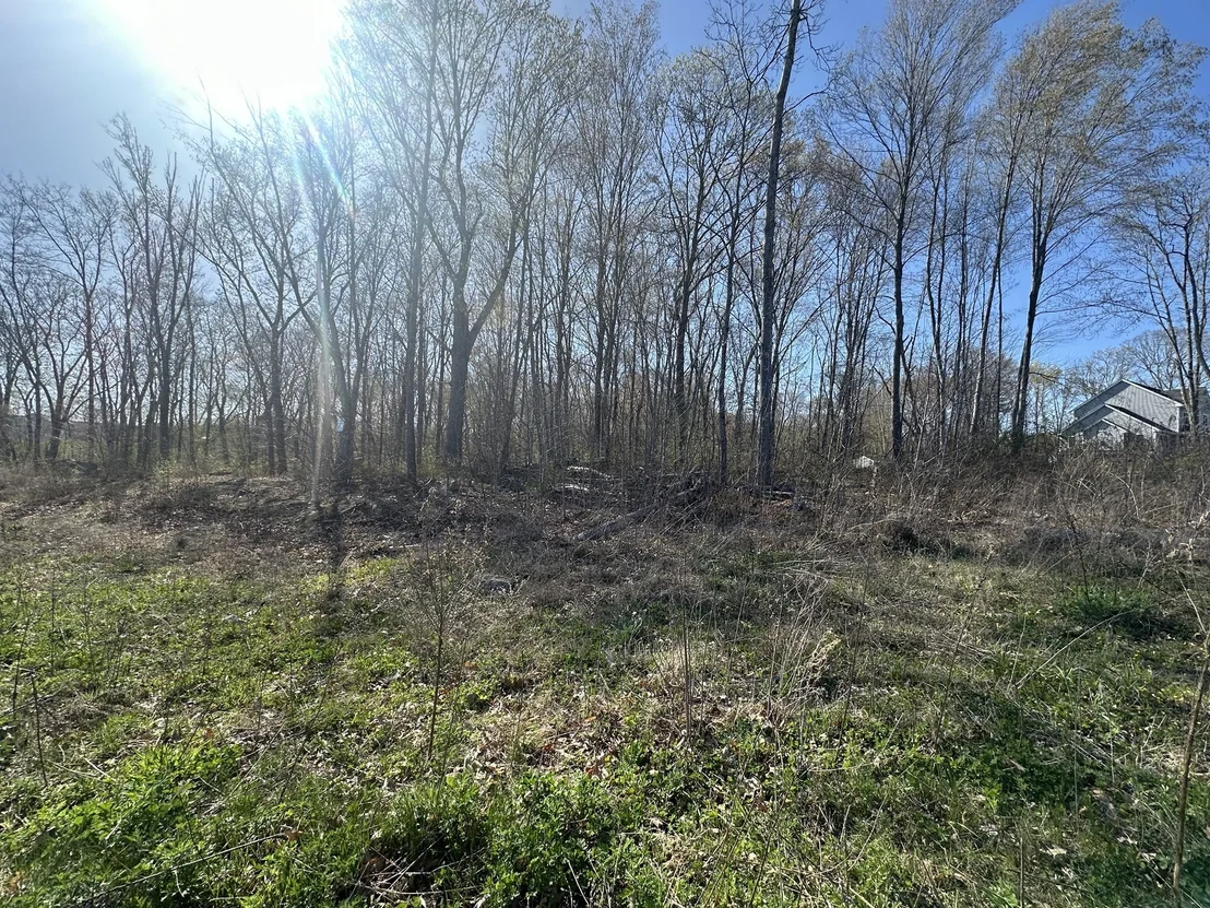 Photo of 12 Ciana Rd